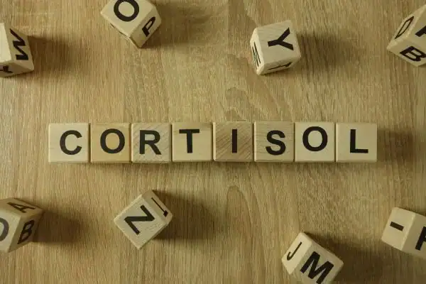 The Hidden Connection: How Stress Shapes Your Fitness and Body Composition 2 Image saying "Cortisol" and how stress West Bridgford impacts your wellbeing and bodies shape